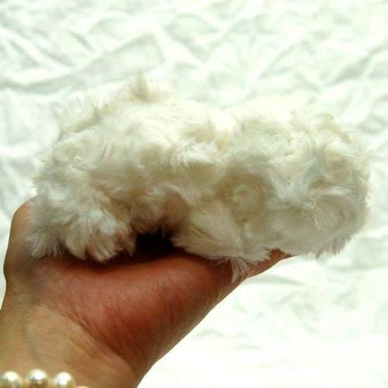 Little Beans Maltese Plush Toy 13cm