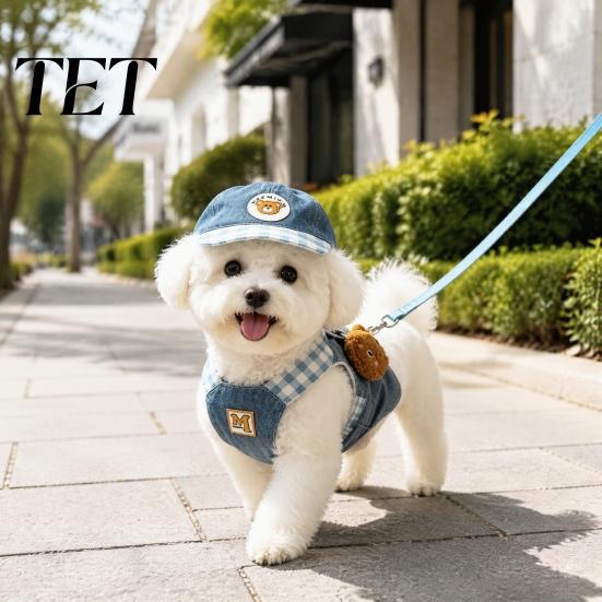 Lightweight Dog Harness 1 Set Denim with Leash, Padded Breathable Harness, 4Ft Nylon Puppy Training Leash Cute Bear Walking for Small Dogs,