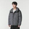The North Face Мужская зимняя пуховая куртка 8GKGRPI