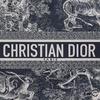 Dior Дорожная Сумка-Клатч на Молнии из Технической Ткани с Обратным Принтом Toile de Jouy Сумка через Плечо Сумка на Плечо Обычный Крой Женский Стиль Синий
