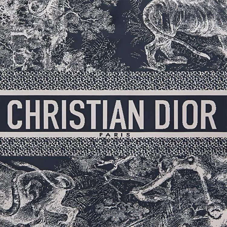 Dior Дорожная Сумка-Клатч на Молнии из Технической Ткани с Обратным Принтом Toile de Jouy Сумка через Плечо Сумка на Плечо Обычный Крой Женский Стиль Синий