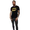 Batman Mens Spray Logo Cotton T-Shirt