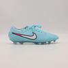 IB9520-401 Nike Tiempo Legend 10 Elite Copa White (Мужской)