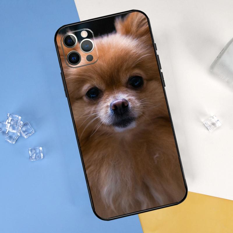 Чехол для телефона с изображением собаки породы Померанский шпиц Для iPhone 16 Pro Max 12 13 Mini 11 14 15 Pro Max XR 16 15 Plus 16e Защитный корпус