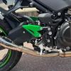 HRuizq Защитная накладка на пятку подножки Защита подножек для Kawasaki Ninja 400 Z400 (2018-2023 гг.), Ниндзя 250 Z250 (2019-2023), Z e-1 Ниндзя e-1 (2024), Ниндзя