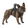 Factory  Suptig Camera Belt Hound Dog Fetch Harness Adjustable Chest Belt Strap Mount for Pet Dog for GoPro Action Recording