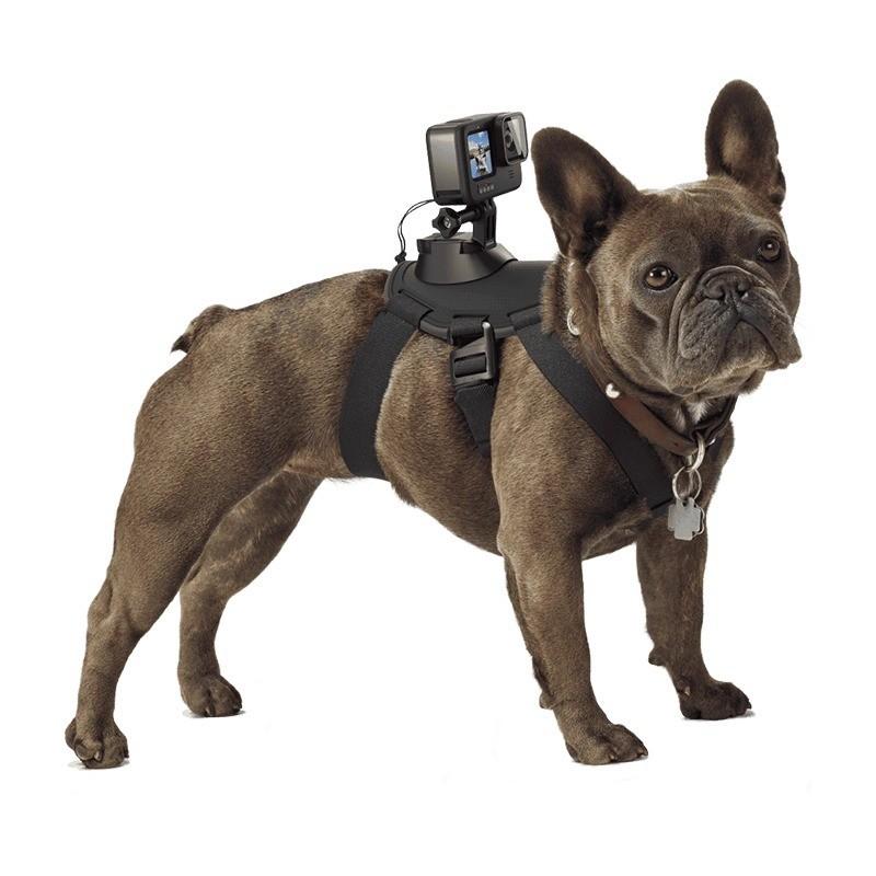 Factory Suptig Camera Belt Hound Dog Fetch Harness Adjustable Chest Belt Strap Mount for Pet Dog for GoPro Action Recording