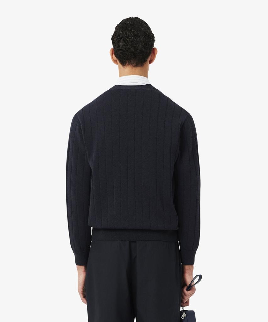Мужской кардиган Lacoste Paris Pack с V-образным вырезом и резинкой Ah1039-56G 350