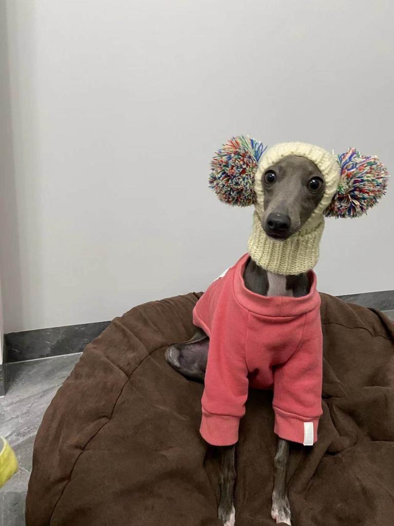 Unny Pom Pom Knit Hat for Italian Greyhound Dachshund Weimaraner Greyhound Clown Style Pet Accessories