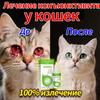 Effective Cat Eye Treatment Drops 20ml Natural Remedy for Itchy Eyes Discharge Cloudiness Vet Recommended