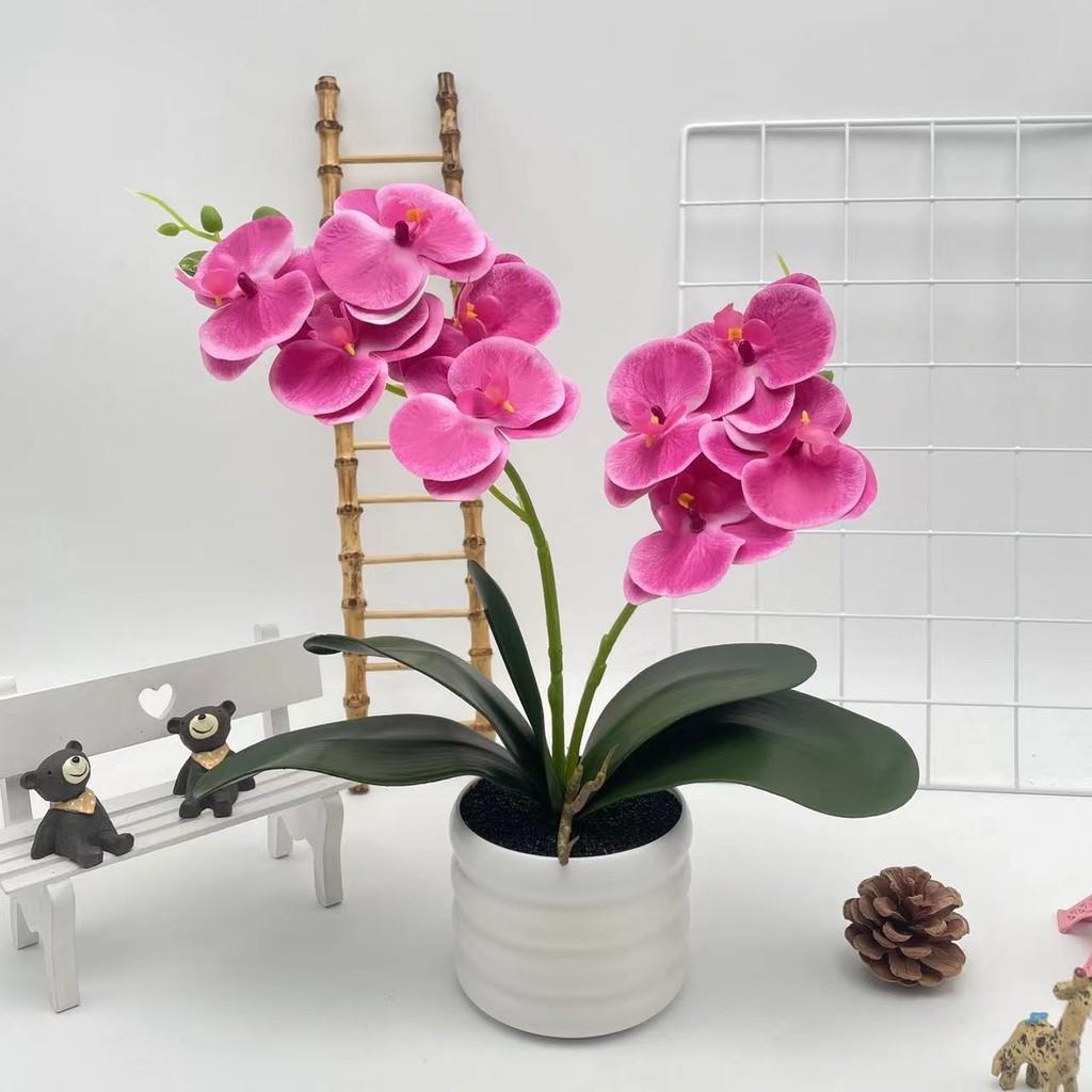 Phalaenopsis Artificial Flower Plant Pot For Wedding Decor And Photography Indoor Outdoor Display