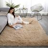 Fluffy Floor Mat Plush Area Rug with Non-slip Backing Shaggy Fuzzy Bedroom Carpet Bedside Rug for Nursery Playroom Living Room Dorm
