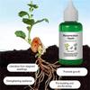 Plant Nutrient Solution - 50ml Garden Plant Plant Nutrient Solution For Plants Plant Nutrient Liquid To Promote Plant Growth Garden Plants 50ml