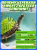 Aquarium/terrarium accessories