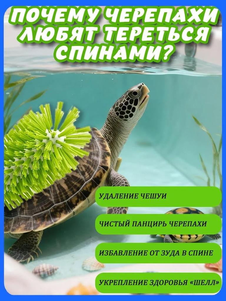 Aquarium/terrarium accessories