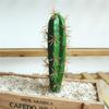 1 шт., искусственный кактус, суккулентное растение, бонсай, офисный стол, домашний декор для вечеринки?