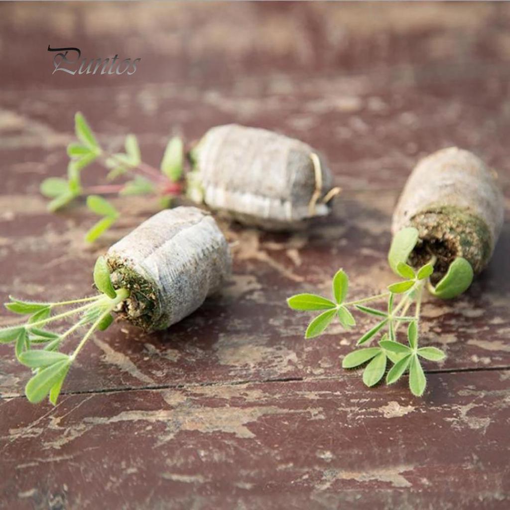 Торфяные блоки для выращивания рассады