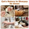 Игрушка для кошек Когтеточка, Гармошка с шариком, Волшебный орган Когтеточка для кошек, Складная конструкция, Снимает тревогу и защищает мебель