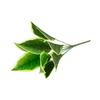 Imitation Plants Realistic No-Watering Plastic Unique Flower Arrangement Artificial Leaves Wedding Decor
