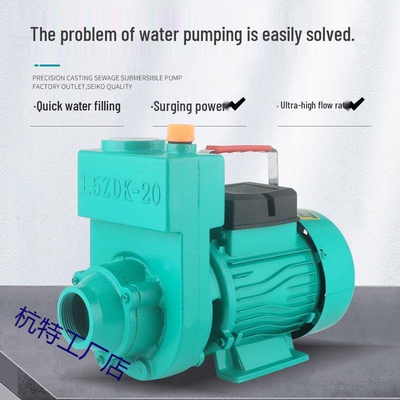 ZDK 220V High Flow Self-Priming Agricultural Sewage and Clean Water Discharge Pump
