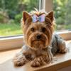 25Pcs Bow Shaped Pet Hair Bows Gradient Color Pet Hair Ties Pet Hair Rubber Bands  Daily Pet Styling