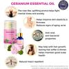 Divine Aroma Geranium Essential Oil 100% PURE & Natural Essential Oil |10ml|- Undiluted Exotic Sharp, Herbaceous green, Sweet Minty & Rose U