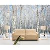 Wallpaper Birch Tree Forest Mural Home Decoration Living Room Bedroom Background Wall 3d Wallpaper