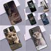 Чехол для телефона Xiaomi Redmi Note 14 9 10 11 12 13 Pro 9S 10S 11S 12S Redmi 13C 10C 12C 14C с рисунком Британской короткошерстной кошки Coque