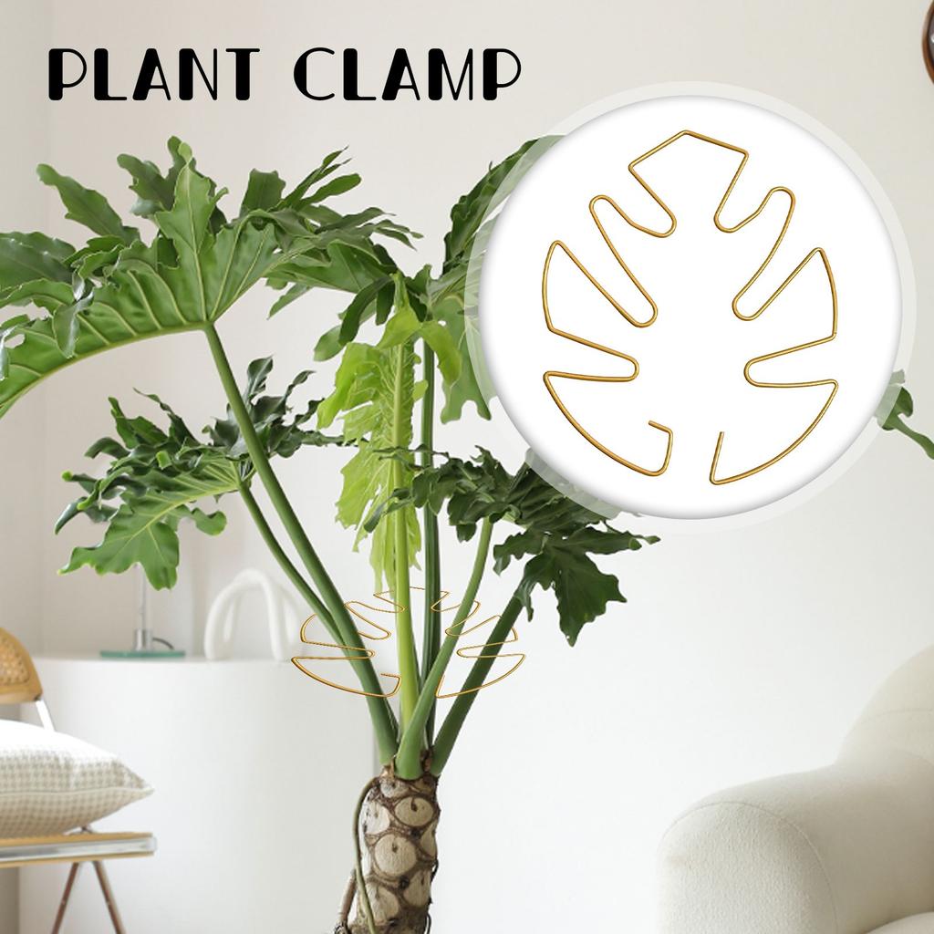 Новая трансграничная поддержка растений в форме монстеры Поддержка растений в форме монстеры