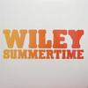 12-дюймовая пластинка WILEY - Summertime ASYLUM5T Asylum Records 2008 UK Dance & Electronica Б/У
