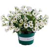 Artificial Sunset Mums Flowers Waterproof Fake Fall Flowers for Outdoor Garden Patio Home Planters Home Decoration