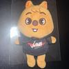 [USED] Straykids SKZOO Han Quokka Mini Plush Toy Official