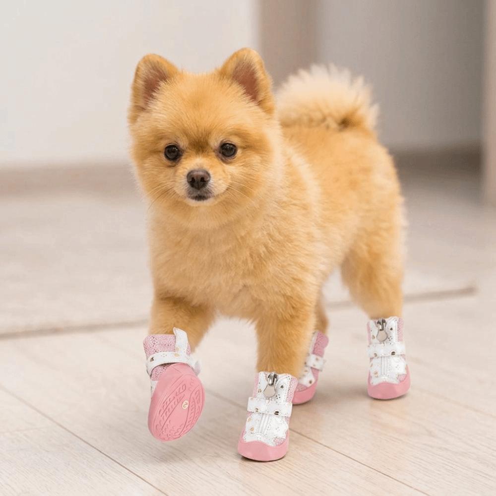4Pcs Breathable Breathable Pet Boots Golden Mesh Puppy Paw Shoes Mesh Dog Shoes Indoor Activities
