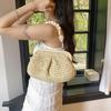 Small Straw Underarm Bags for Women 2024 Summer Crossbody Bags Lady Travel Purses and Handbags Female Shoulder Bag