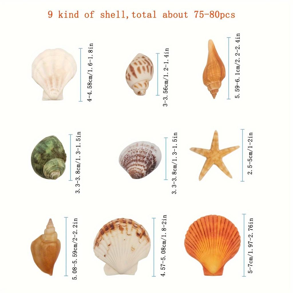 9 Kinds Various Sizes Seashells Starfish for Beach Themed Party DIY Crafts Fishtank Vase Fillers Home Wedding Decorations
