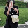 Handheld Women's Bag Woven Bucket Bag Vacation Bag 2024 Spring Summer New Crossbody Straw Bag Rattan Bag Fashion Small Bag