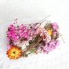 Сухоцветы Домашняя фотография Реквизит DIY Орнамент Ремесло Образец Аксессуары