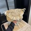 Summer Straw Bags For Women Handmade Tassel Beach Bags Raffia Rattan Woven Handbags Vacation Shoulder Crossbody Bags