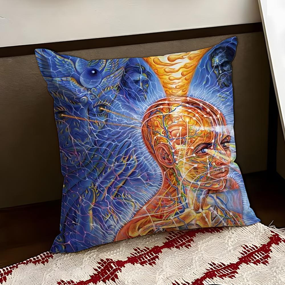 AAlex GreyS Art Cushion Cover Reversible Soft Durable Pillow Cover Home  Car MultiScene Use for Daily Comfort