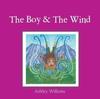 Книга The Boy & the Wind