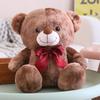 Cute Rendered Teddy Bear Doll Plush Toy Bear Hug Bear Doll Rag Doll For Girlfriend Birthday Gift