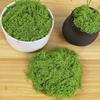 30/100 г Искусственный Зеленый Мох Поделки для DIY Комнатные Растения Сказочные Сады Центральные Элементы Стола Аквариумы Микроландшафт Декоративный Искусственный Мох
