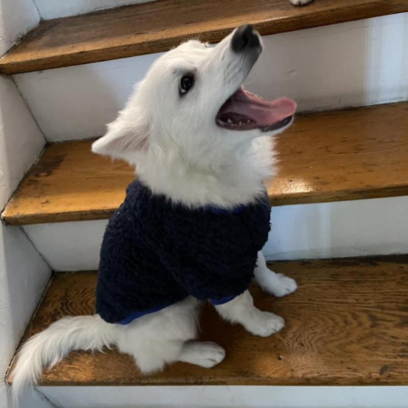 Зимняя одежда для собак Флисовая одежда для щенков для маленьких собак Осеннее мягкое теплое пальто для домашних животных Куртка Удобный костюм для щенка Йорки Чихуахуа Французский бульдог