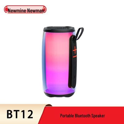 Портативная Bluetooth-колонка Newmine BT12, китайская вилка (адаптер в комплекте)