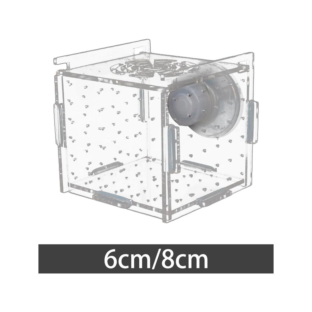 Aquarium Fish Breeder Box Square Suction Cup Hatching Incubator Box for Aggressive Fish Baby Prawn Shrimp Clownfish Newborn Fry