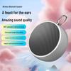 BS02 Портативная Bluetooth-колонка большой мощности с сабвуфером для помещений и улицы