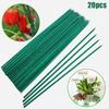 40cm Green Plant Support  Canes For Flowers Garden