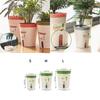 Self Watering Planter Lazy Hydroponic Flower Pot Living Room Succulent Plant Pot