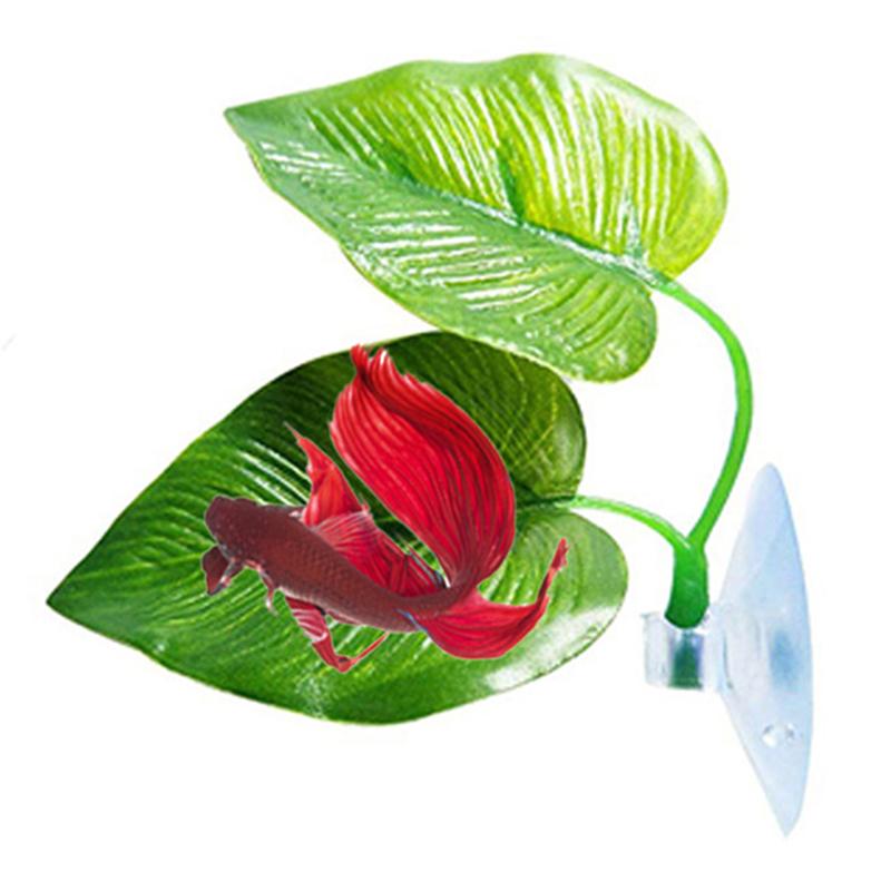 Бетта-рыбка, отдых, аквариум, листья, растения, украшение, нерест, декоративное растение, Бетта