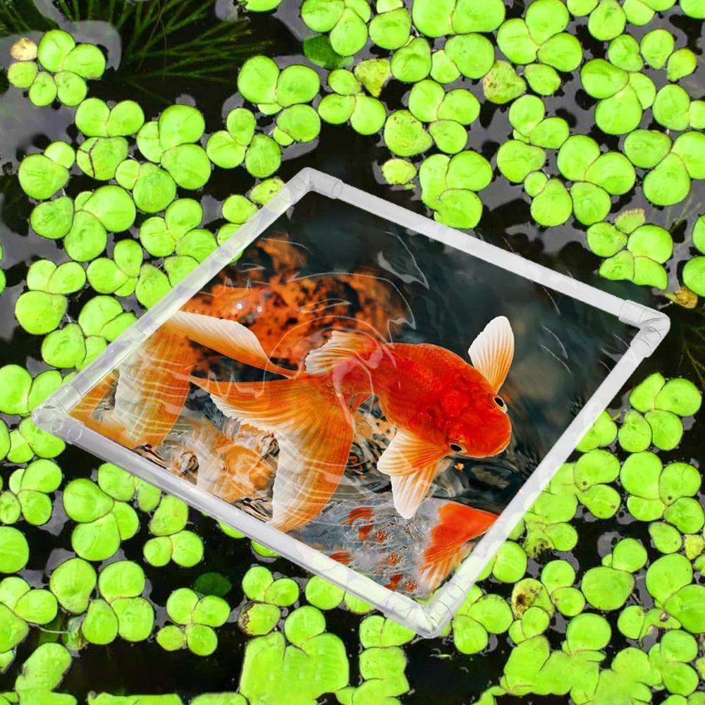 Clear Aquarium Floating Plant Corral Acrylic Aquarium Food Ring Garden Lawn Yard
